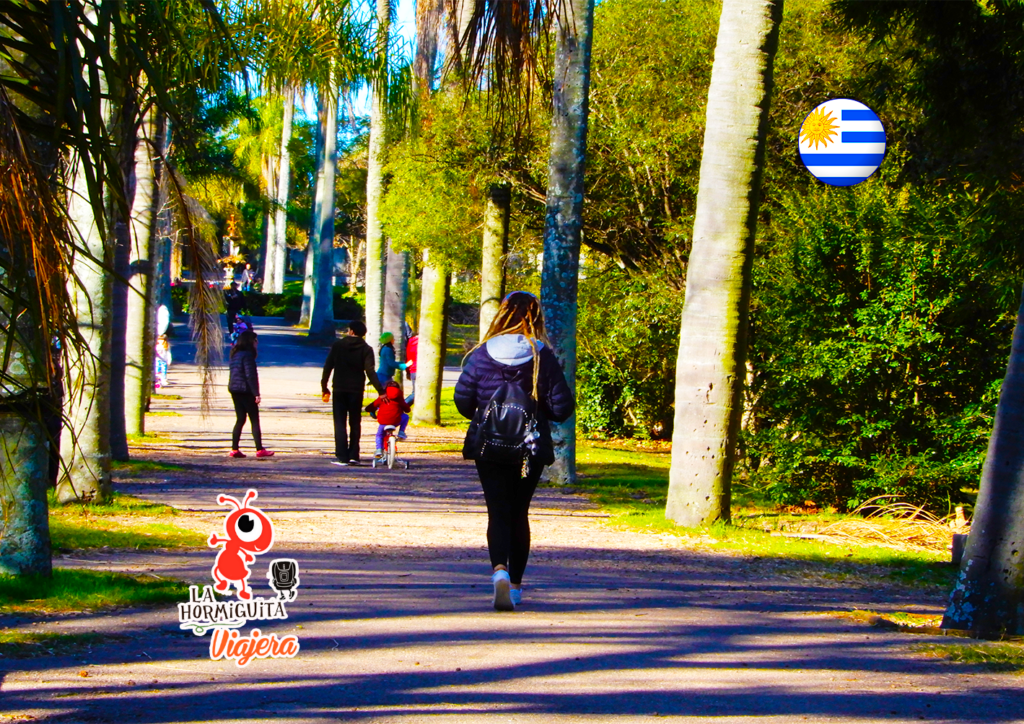 Pilar desde la espalda. Iba por agua caliente para el mate. 