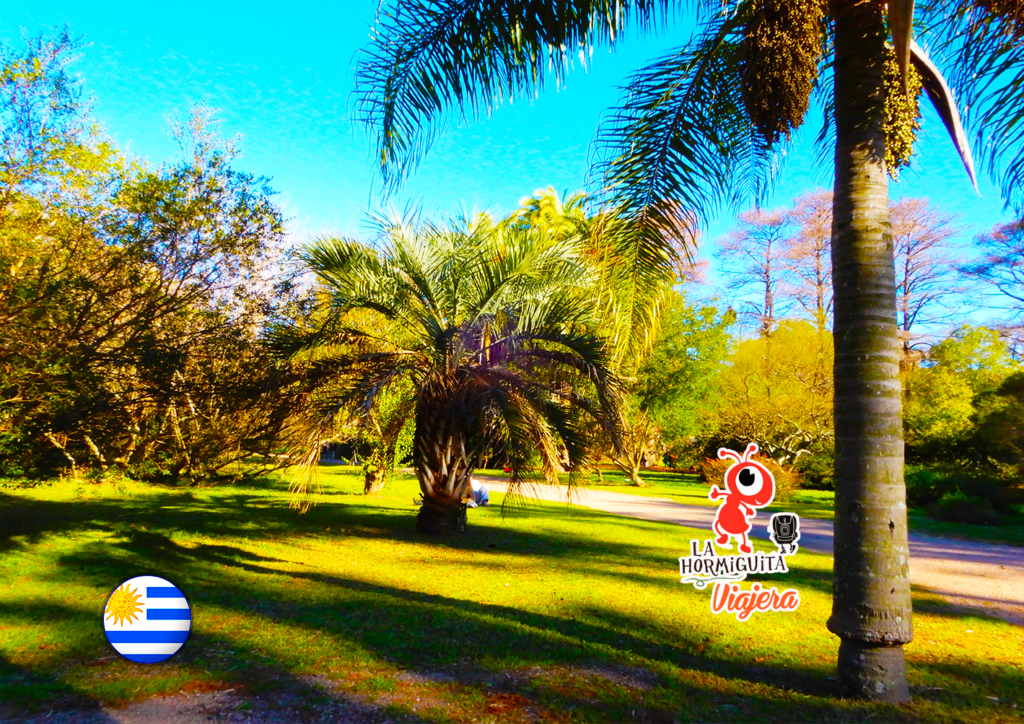 Jardín Botánico, junto al Prado, uno de los pulmones de oxigeno del área urbana. 